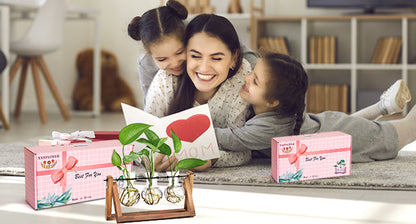 Plant Terrarium with Wooden Stand, Air Planter Bulb Glass Vase Metal Swivel Holder Retro Tabletop for Hydroponics Home Garden Office Decoration - 3 Bulb Vase
